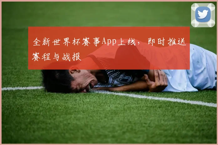 全新世界杯赛事App上线,即时推送赛程与战报