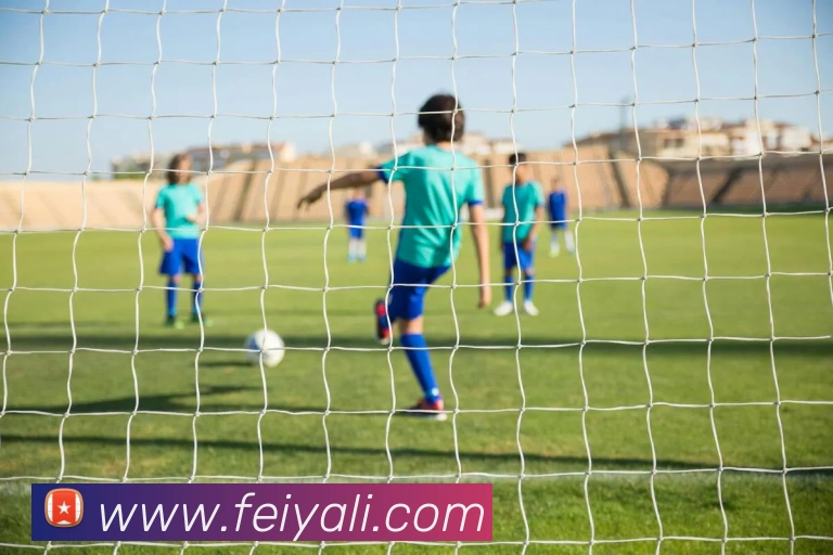 欧宝app官网入口发展历程